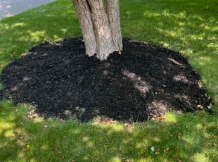 Mulching by Leland Daughtry for Alison V. in Barrington, RI