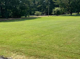 Yurim K.'s Lawn Maintenance service result