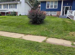 Steven L.'s Lawn Mowing service result