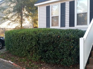 Bush Trimming by Ryan Landrigan for Daniel W. in Irmo, SC