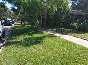 Jennifer G.'s Lawn Care service result
