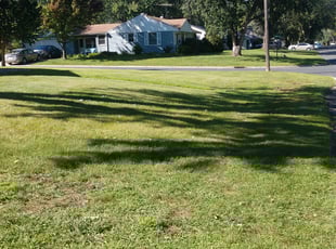 Cleanups by Jonathan Erber for Lauren B. in Minneapolis, MN