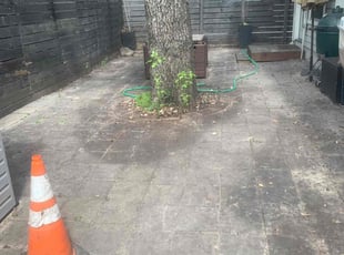 Leaf Removal by John David Ledesma for Joseph A. in Austin, TX