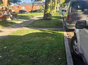 Connor J.'s Grass Cutting service result