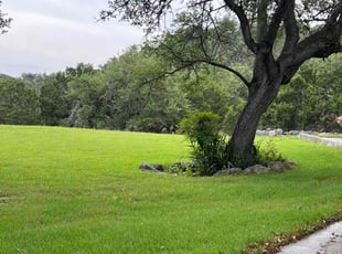Rachel S.'s Lawn Mowing service result