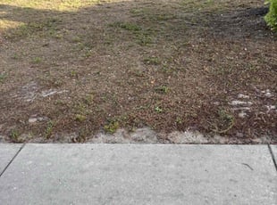 Leaf Removal by Aaron Stephens for Christine B. in Spring Hill, FL