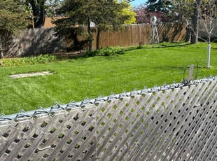 Joyce H.'s Lawn Maintenance service result