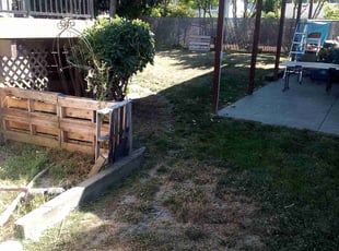 Bush Trimming by Barry Hutchinson for Reina S. in Renton, WA