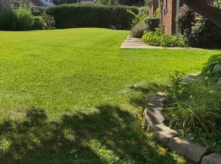 Annette H.'s Grass Cutting service result