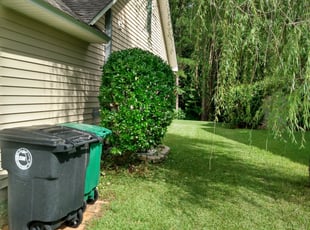 Bush Trimming by Alan Hollis for Briana M. in Tallahassee, FL