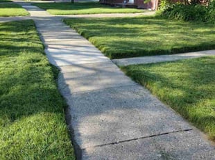 Tammy D.'s Lawn Maintenance service result