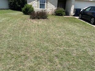 Cleanups by Antonio (Tony) Moreno Enriquez for Kimberly M. in Leander, TX
