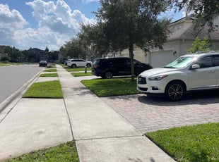 Alexandra S.'s Lawn Care service result