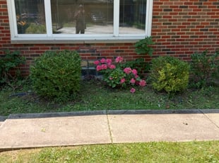 Bush Trimming by Willie Tisdel for Linda C. in South Euclid, OH