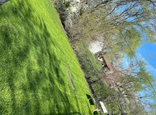 Espanola H.'s Lawn Mowing Service service result