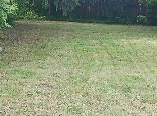 Cleanups by Lawrence Hinton for Amber T. in Euclid, OH