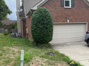 Cleanups by Roderick Vaughn for Matt P. in Nashville, TN