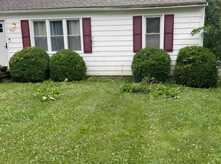 Bush Trimming by Bo Hickmon for Cierrah P. in Independence, MO