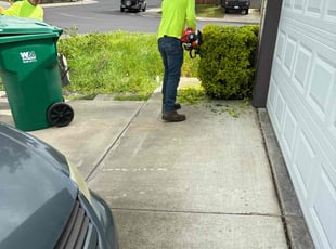 Bush Trimming by Juan Martinez for Wesley W. in Stockton, CA
