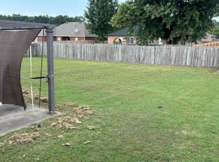 Daniel C.'s Grass Cutting service result