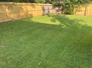 Cathy H.'s Lawn Mowing Service service result
