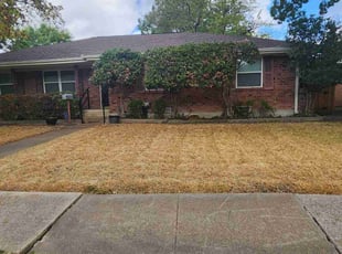 Bush Trimming by Macey Wheeler for Robert M. in Garland, TX