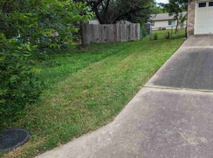 Kathryn C.'s Lawn Service service result