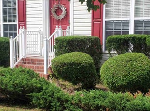 Bush Trimming by Rohan James for Jesse S. in Chesterfield, VA
