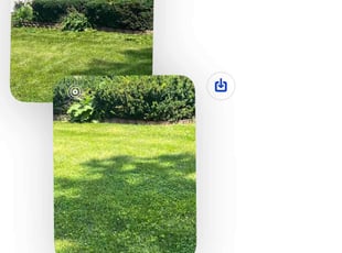 Bush Trimming by Dave Ehrenberg for Jessica H. in Columbus, OH