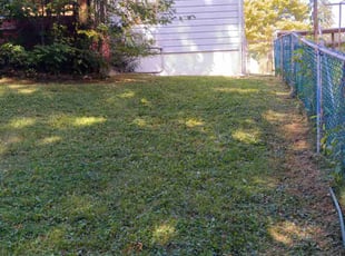 Freddie J.'s Lawn Service service result