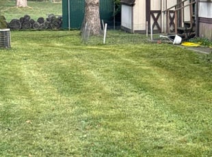 Loretta B.'s Lawn Mowing Service service result