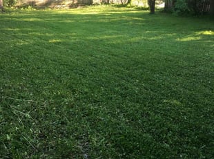 Christina J.'s Lawn Mowing Service service result