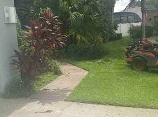 Bush Trimming by Willie Carmichael for Walter O. in Orlando, FL