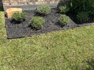 Weeding by James Spivey for Andrea R. in Bryan, TX