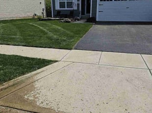 Donna W.'s Lawn Maintenance service result