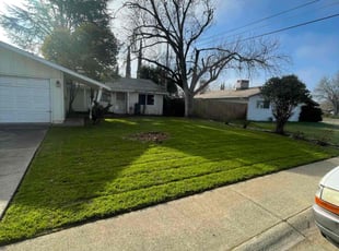 Damon M.'s Yard Cutting service result
