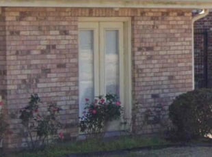 Bush Trimming by Michael Ventry for Marlene S. in Violet, LA