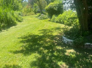 Joann T.'s Lawn Service service result