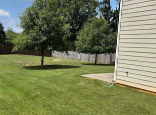KiAndre S.'s Lawn Service service result