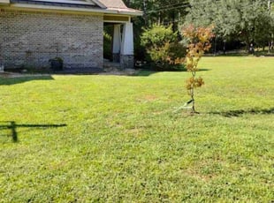 Richardo G.'s Lawn Mowing service result