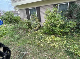 Bush Trimming by Caree Keith for Deborah S. in Waldorf, MD