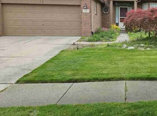 Patricia H.'s Lawn Care service result
