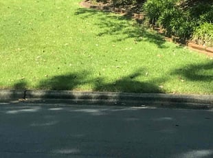 Weeding by Brandon Medlin for Hyuk w. in Raleigh, NC