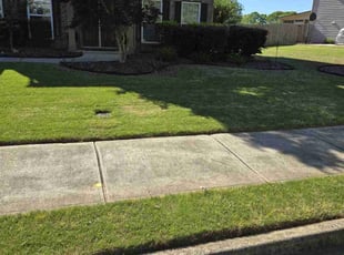 Jacqueline F.'s Lawn Mowing service result