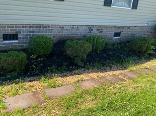 Bush Trimming by Steven Moreira for Melvina B. in Virginia Beach, VA
