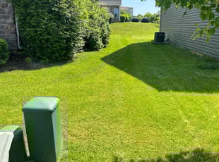 Marlene w.'s Lawn Care service result