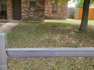 Leaf Removal by Joel Anguiano for Jacob F. in Austin, TX