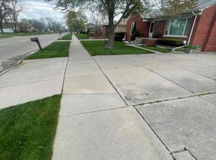 Jamieson C.'s Lawn Maintenance service result