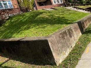 Angela N.'s Lawn Mowing service result