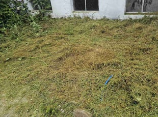 Mark K.'s Lawn Mowing service result